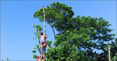 palo sebo|Filipino Traditional Games (Laro ng Lahi) You Should Know About.